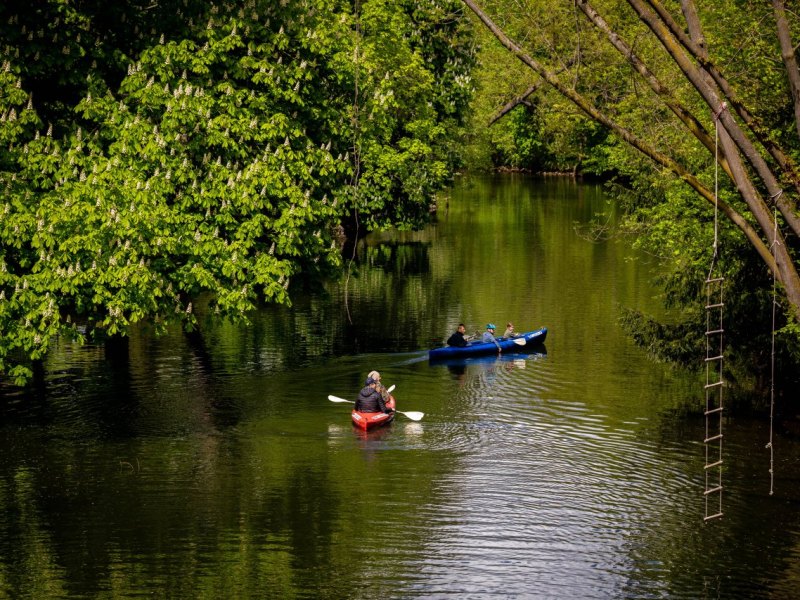 Braunschweig Oker Ufer.jpg