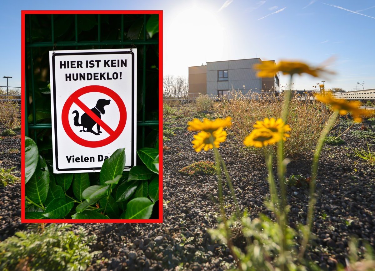 Kein Pixel WolfenbÃ¼ttel.jpg