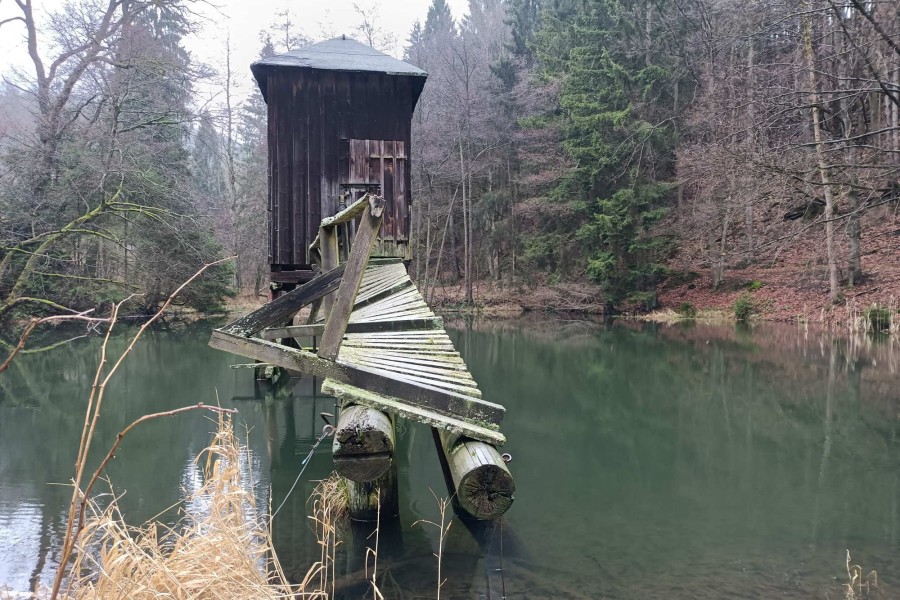 Mysteriöse Hütte im Harz ist nur über diesen abenteuerlichen Steg erreichbar. 