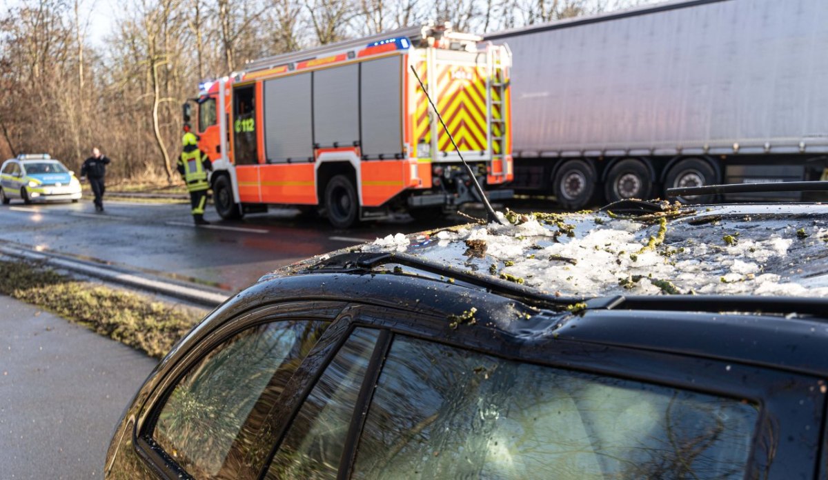 Unfall umgestuerzter Baum Salzgitter