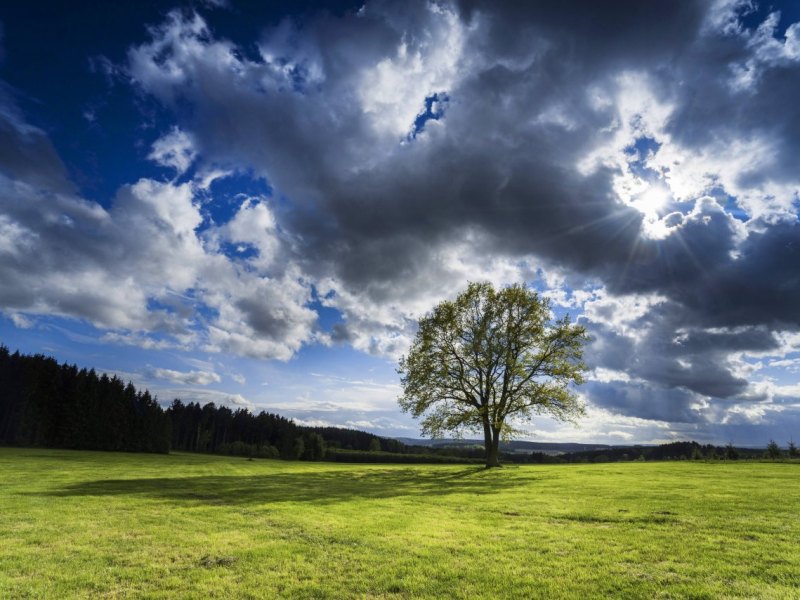 Wetter