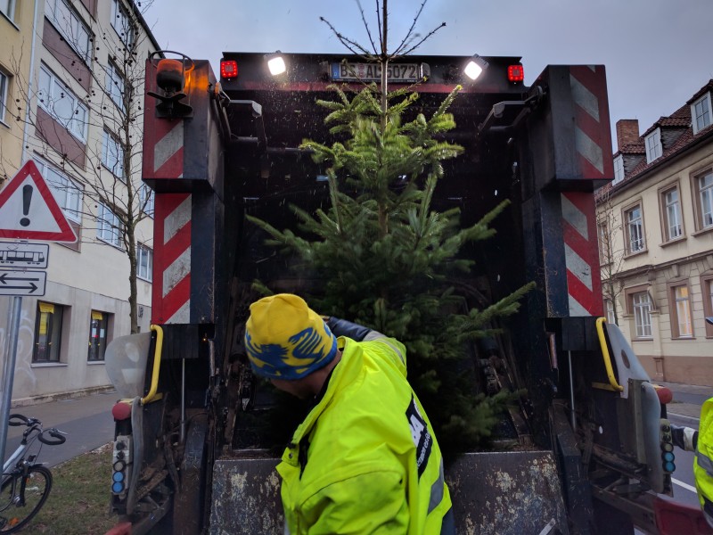 Timo hat am Wochenende schon beim Weihnachtsbaum-Weitwurf-Wettbewerb mitgemacht. Das zahlt sich heute aus.