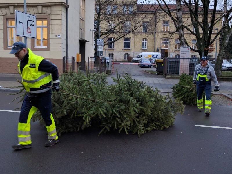 Nicht ganz ungefährlich: Hin und wieder müssen die Alba-Mitarbeiter auch quer über teils stark befahrene Straßen. 