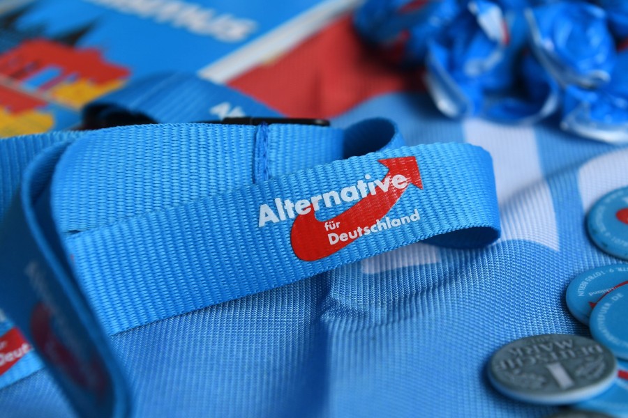 AfD-Parteitag in Braunschweig ruft Demos auf den Plan. (Symbolbild)