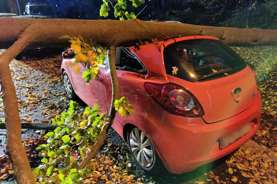 Der Baum kracht mit voller Wucht auf den Ford Ka. 