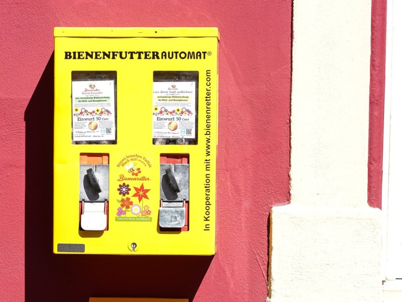 Bienenfutterautomat.jpg