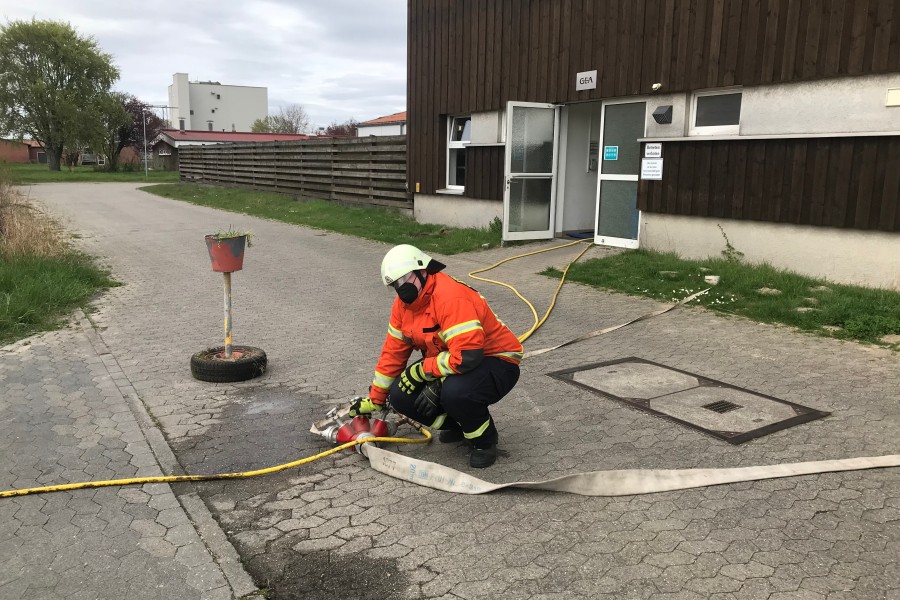 Die Feuerwehr in Braunschweig legte eine 1.000 Meter lange Leitung, um die Tiere mit Wasser zu versorgen. 