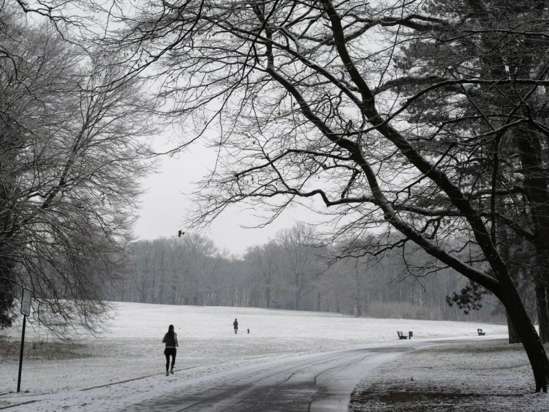 Braunschweig Prinzenpark Winter Schnee