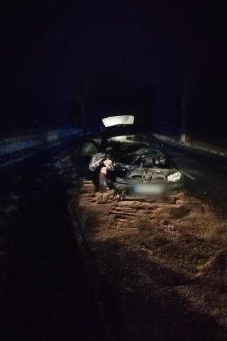 Mann kollidierte mit Baum und kam erst wieder auf der Straße zu stehen. 