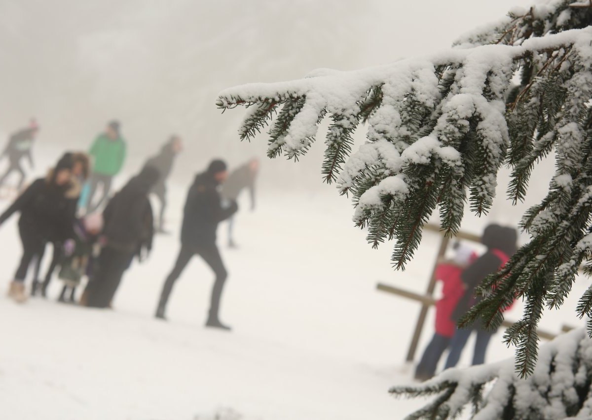 Harz.jpg