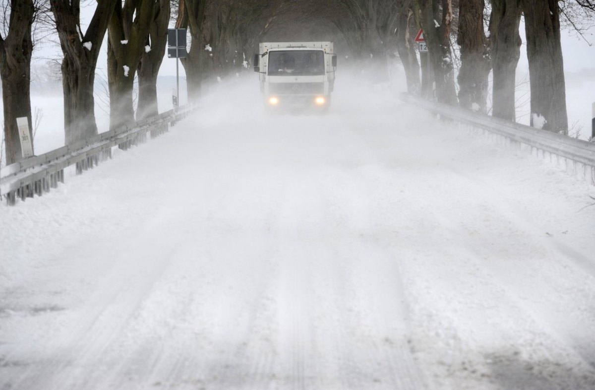 LKW Landstraße Schnee Bäume Allee