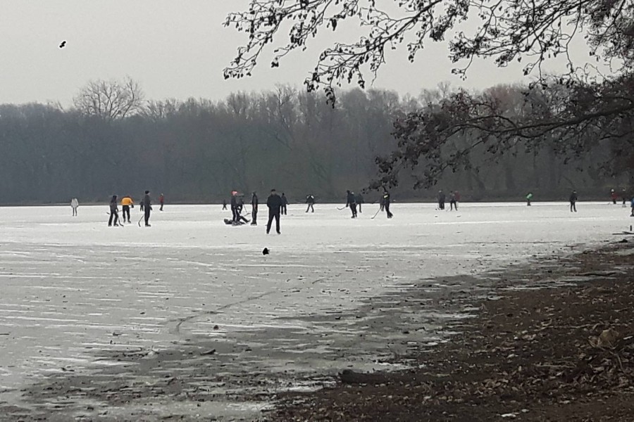 Geduldet wird der Spaß auf eigene Gefahr am Kreuzteich in Riddagshausen. (Archivbild)