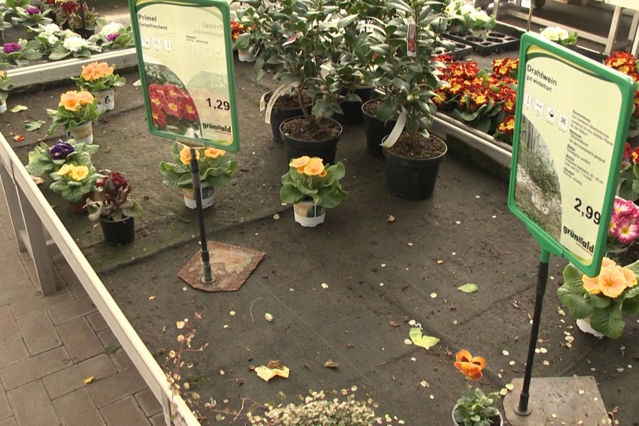 Die Blumentische im Gartencenter in Peine sind schnell leergekauft.