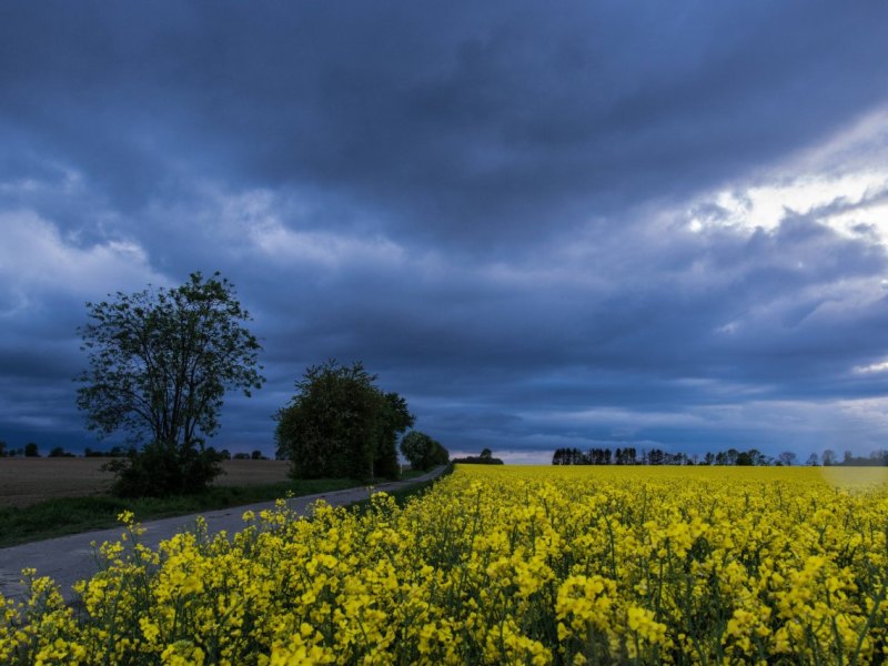Wetter in Niedersachsen