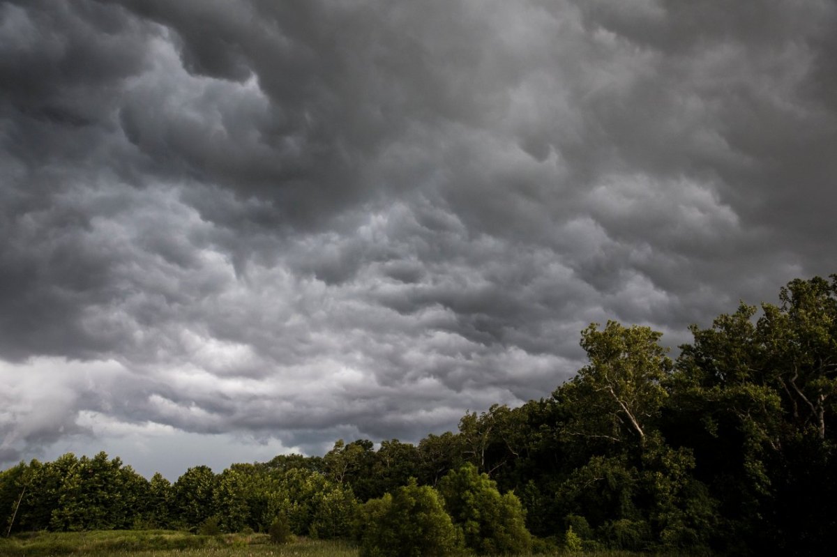 WetterNiedersachsen.jpg