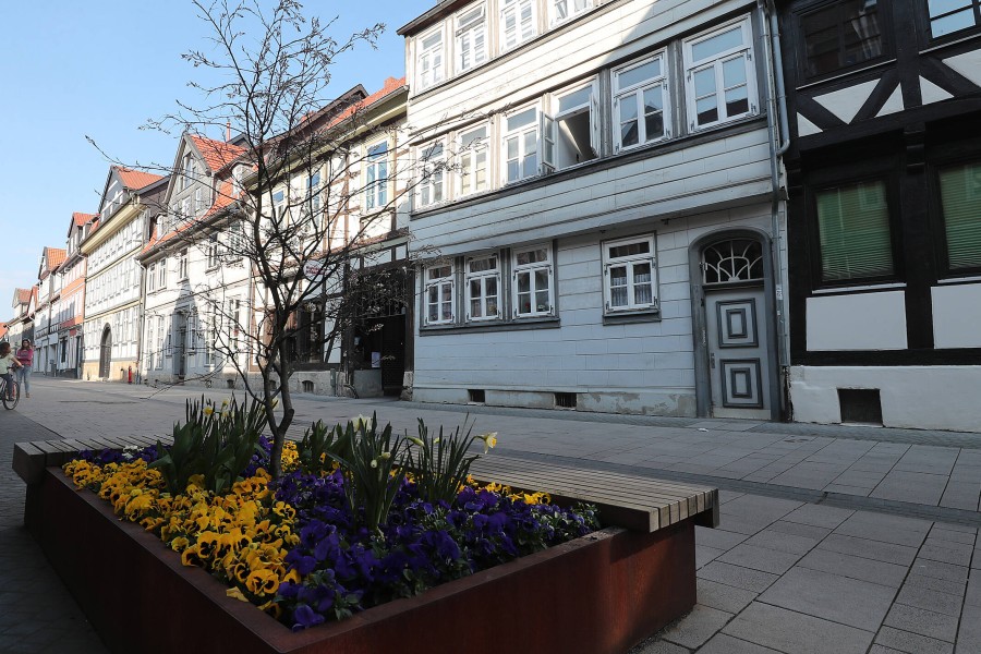 Noch mehr Blumen in Wolfenbüttel sollen den Sommer einläuten. 