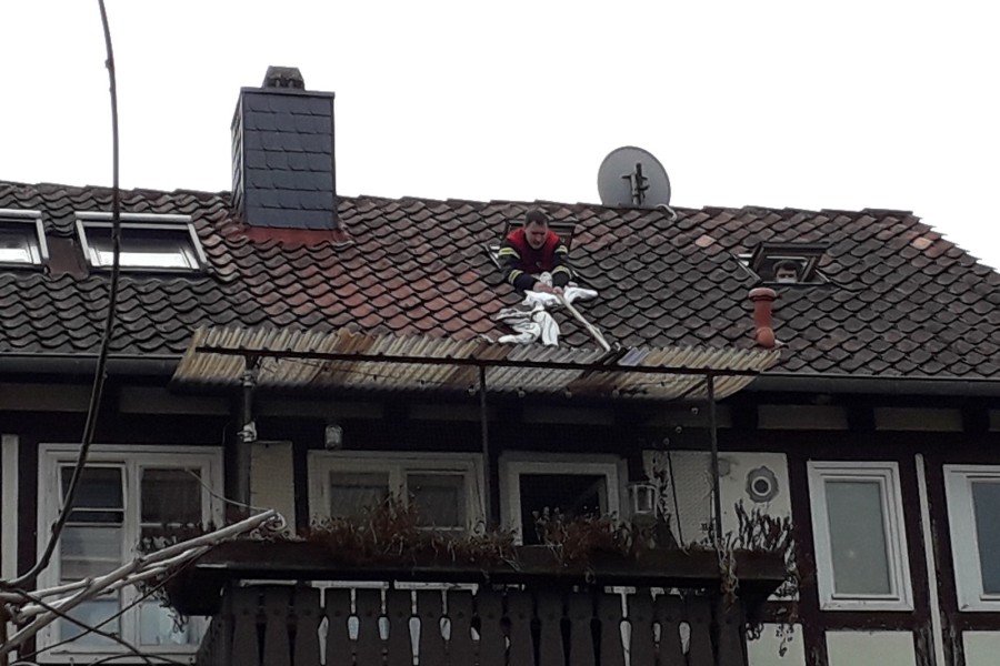 Mit einem Bettlaken konnte die Feuerwehr den Kater vom Dach retten.