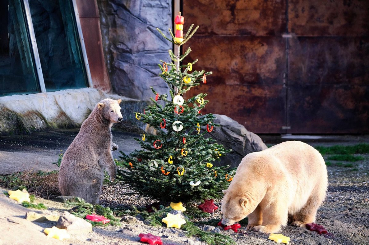 Zoo Hannover