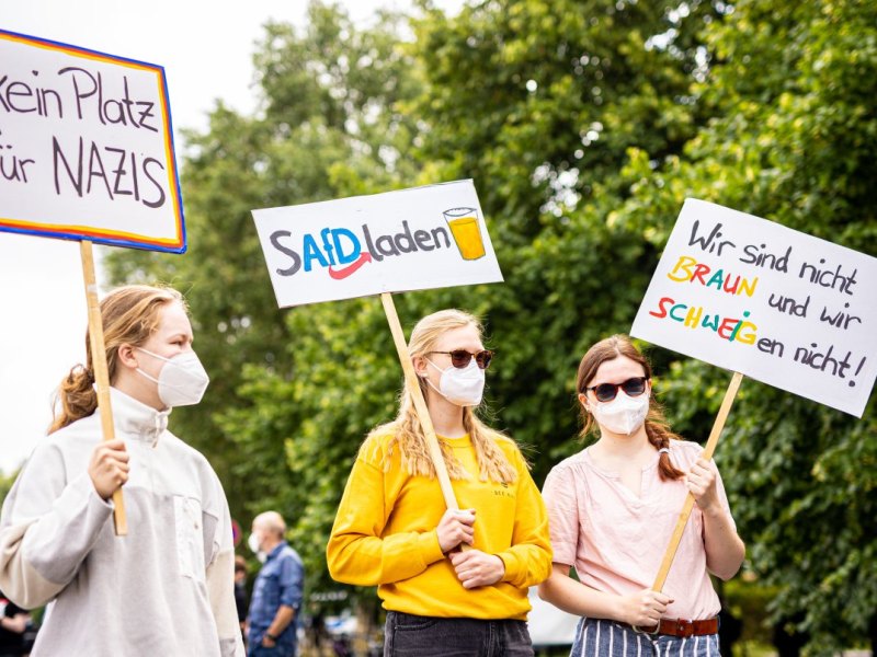afd demo braunschweig