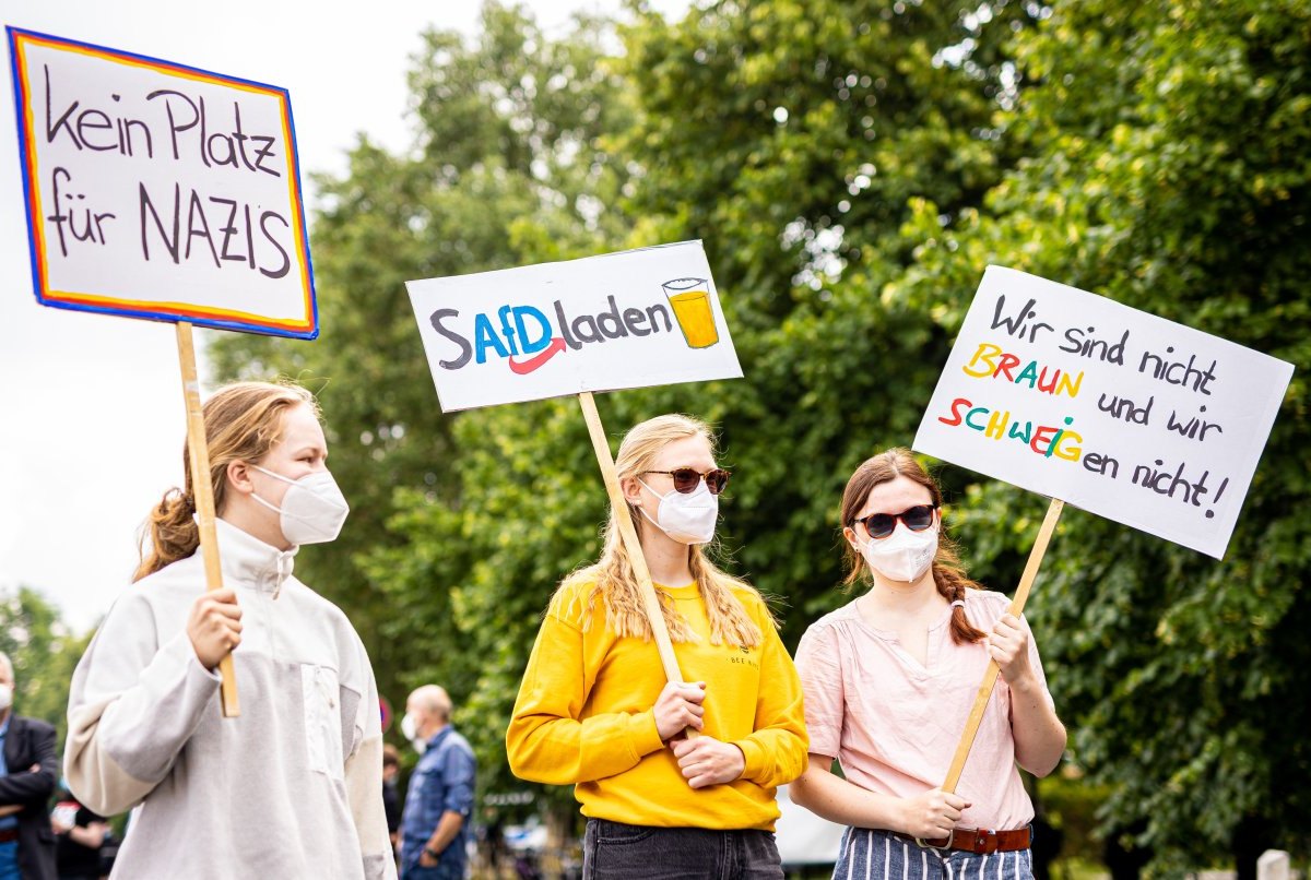 afd demo braunschweig