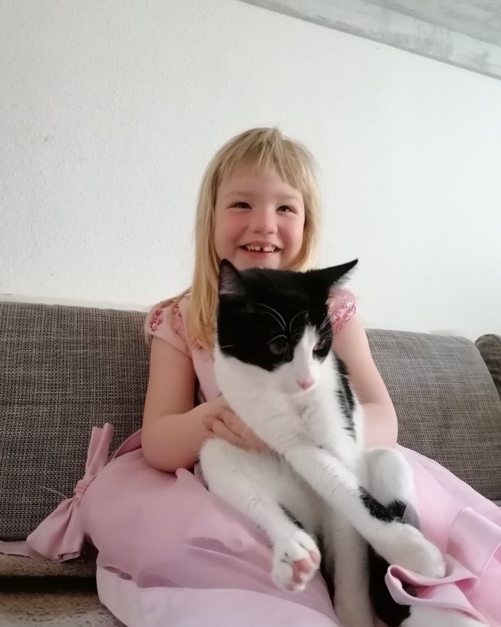 baghira salzgitter katze vermisst