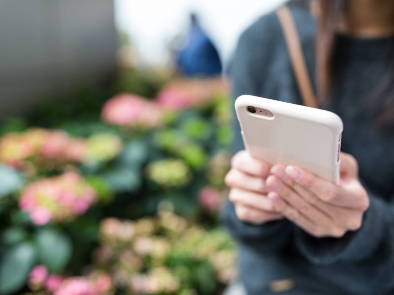 frau garten handy wolfenbüttel facebook biene graue sandbiene