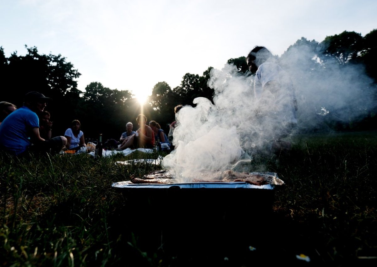 grillen grill park sommer braunschweig