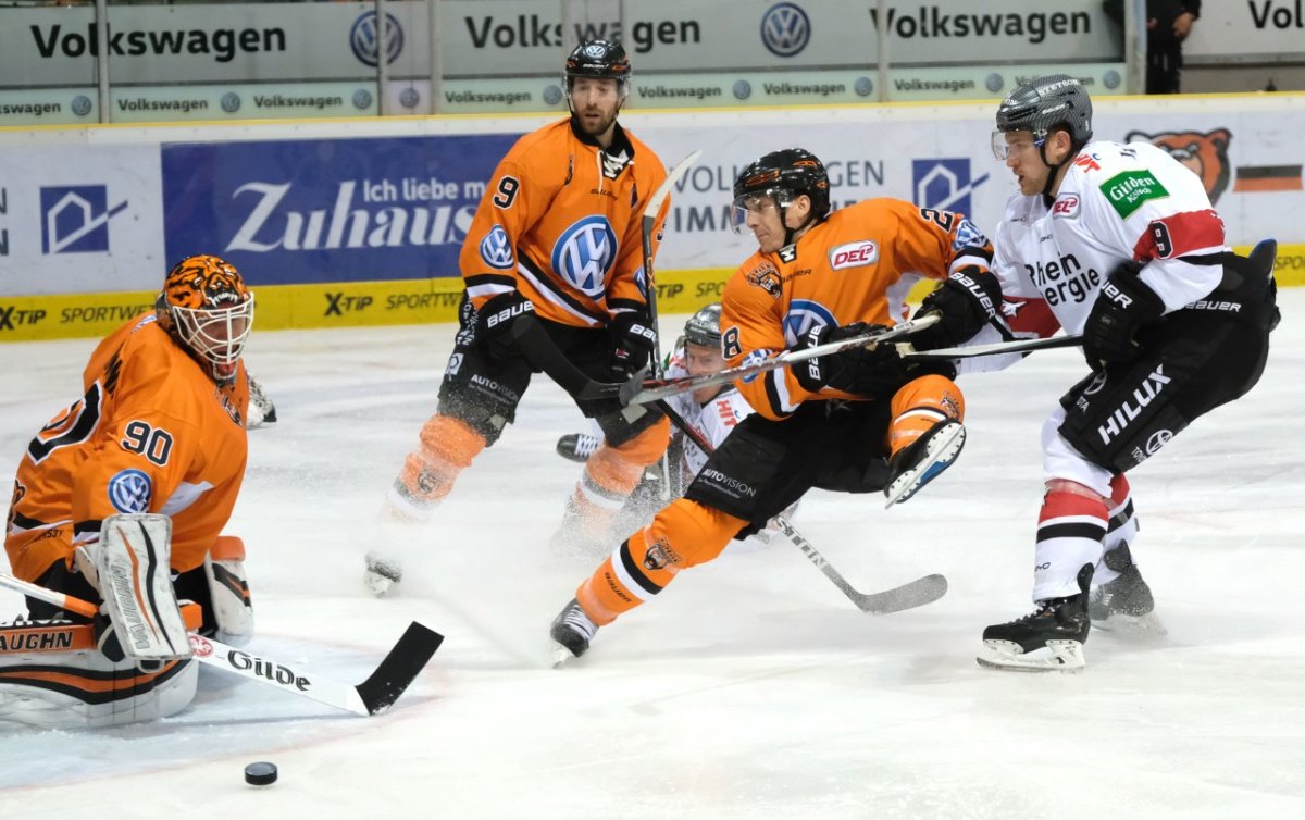 grizzlys kölner haie