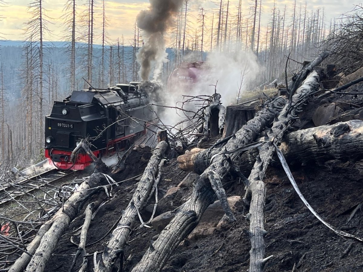 harz-brockenbahn.jpg