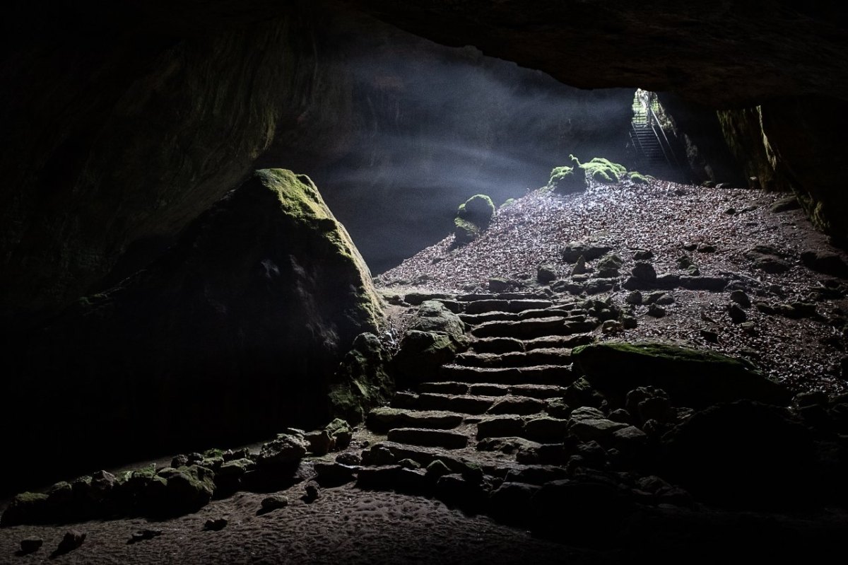 harz neandertaler Einhornhöhle Scharzfeld