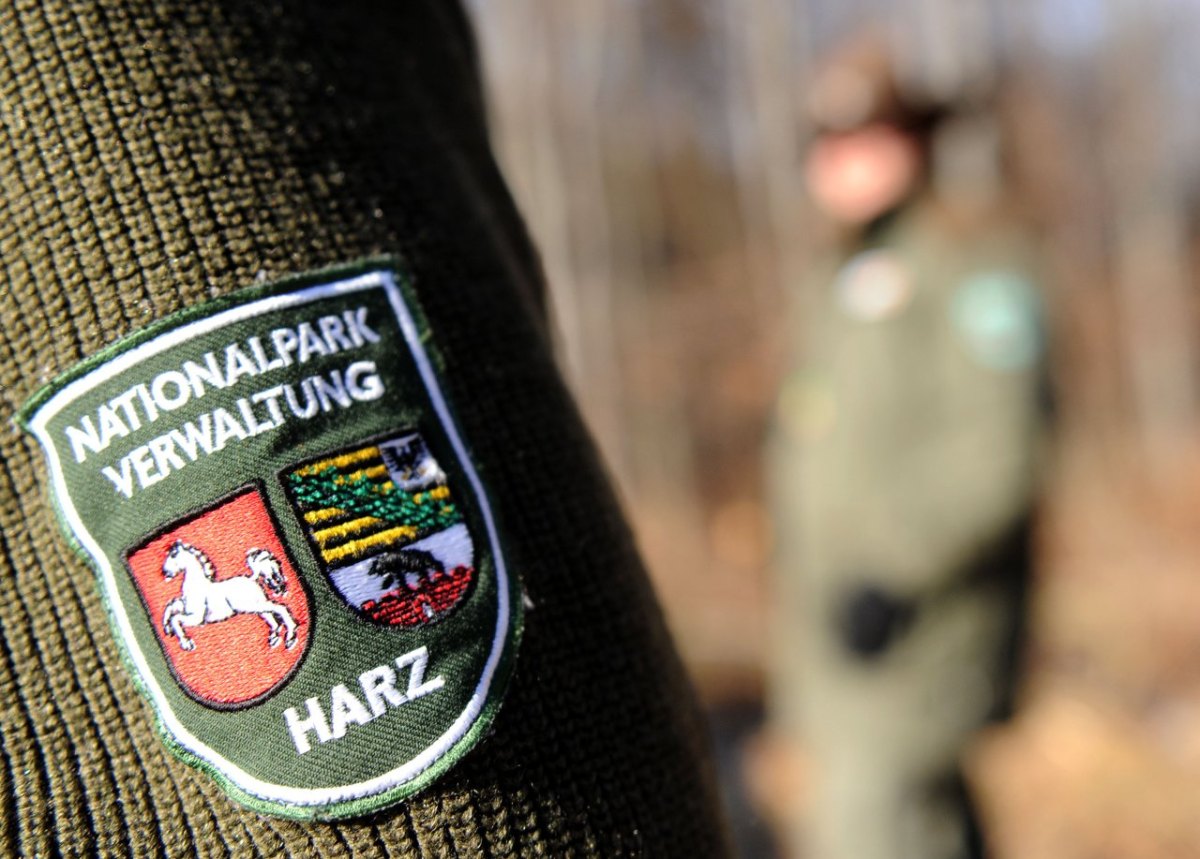 harz ranger müll neu