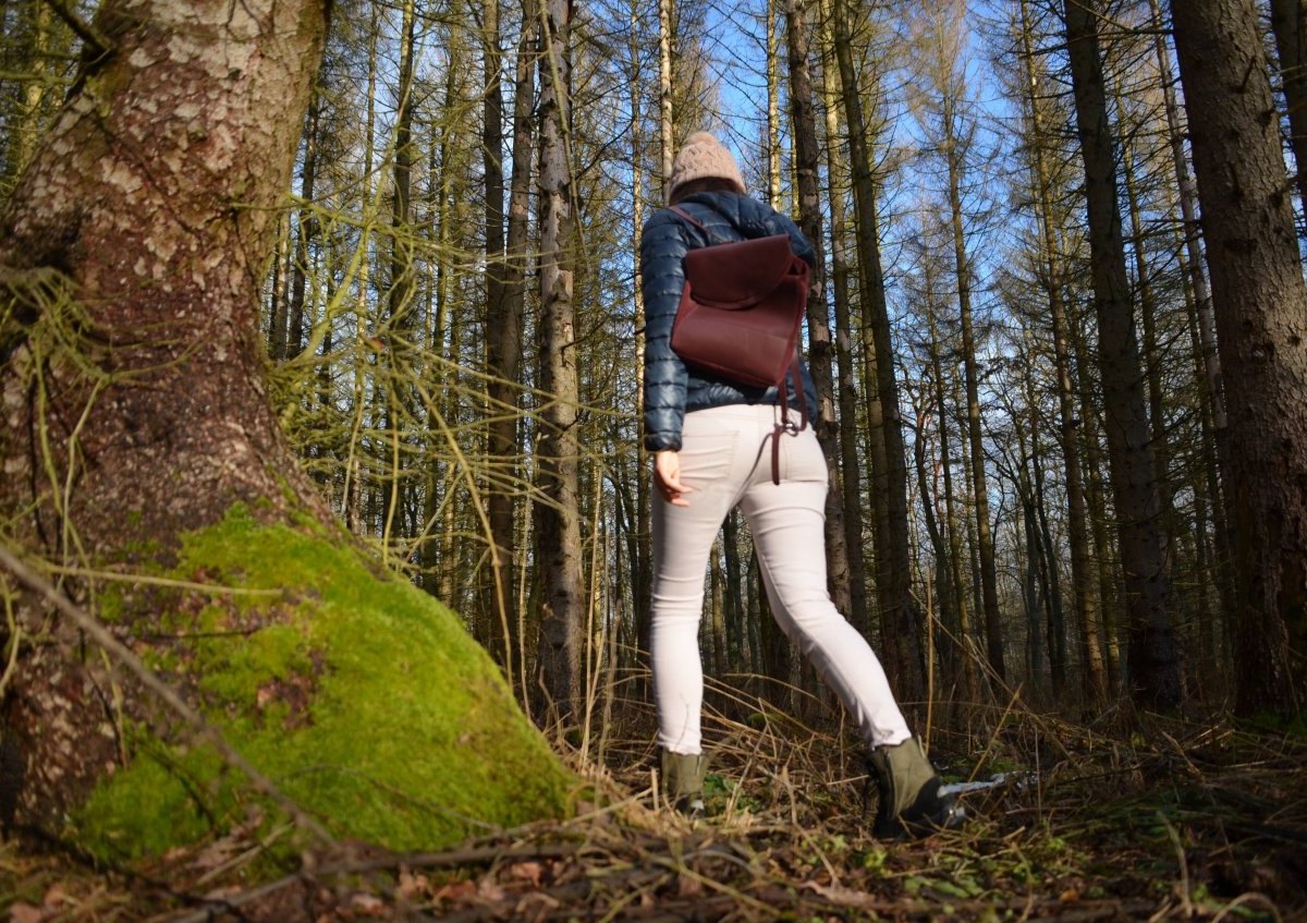 harz wanderin.jpg