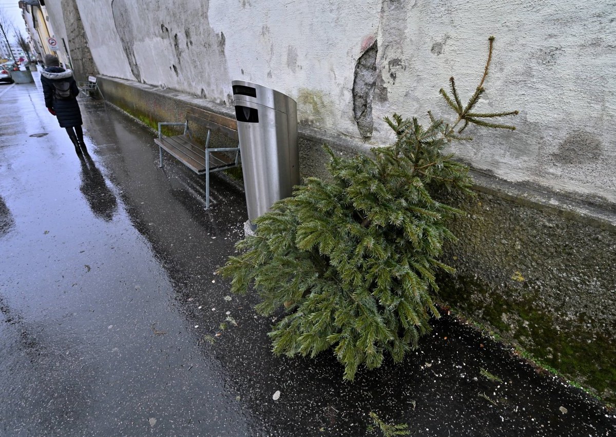 harz weihnachtsbaum.jpg