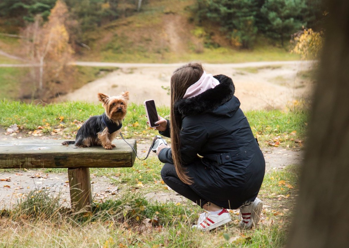 hund helmstedt frau giftköder