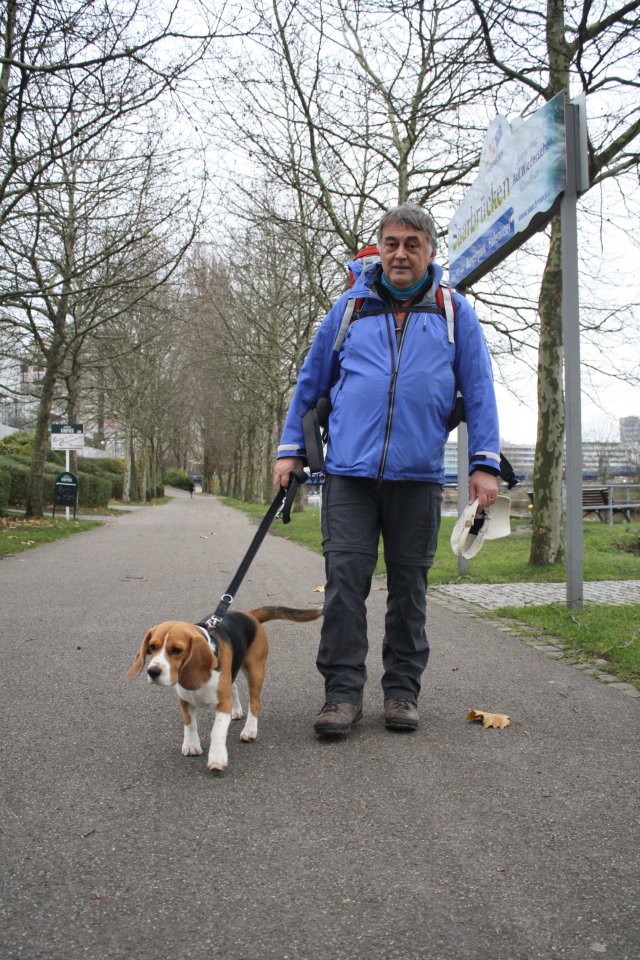 hund mann straße wolfenbüttel