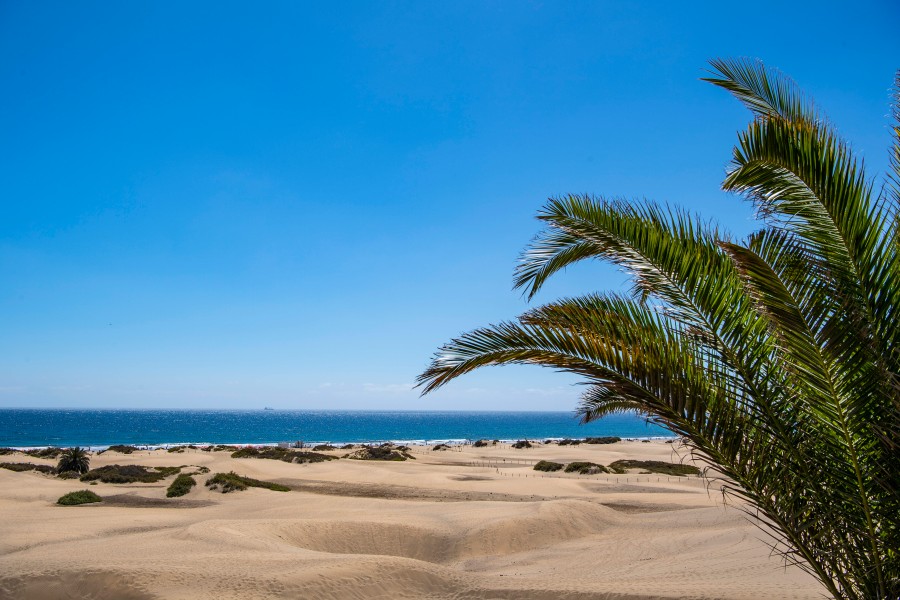 Mit 3 Stunden Verspätung ging es für die Passagiere dann doch noch nach Gran Canaria. (Symbolbild)