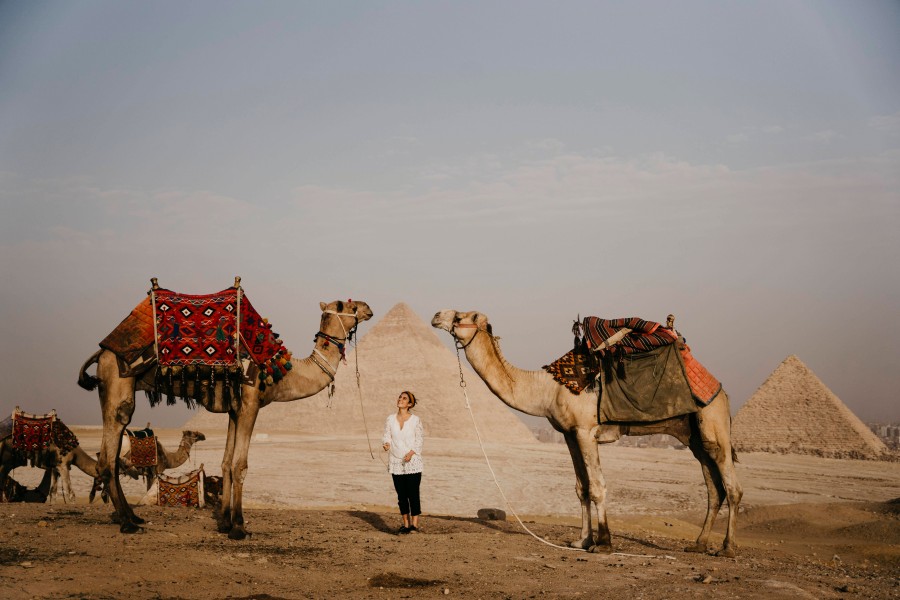 Eine Frau entdeckte in Dubai Eis aus Kamelmilch und brachte es in den Harz. (Symbilbild) 