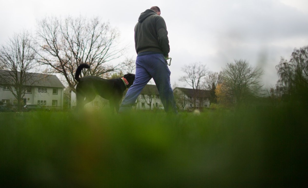 mann hund gassi leine hundeleine