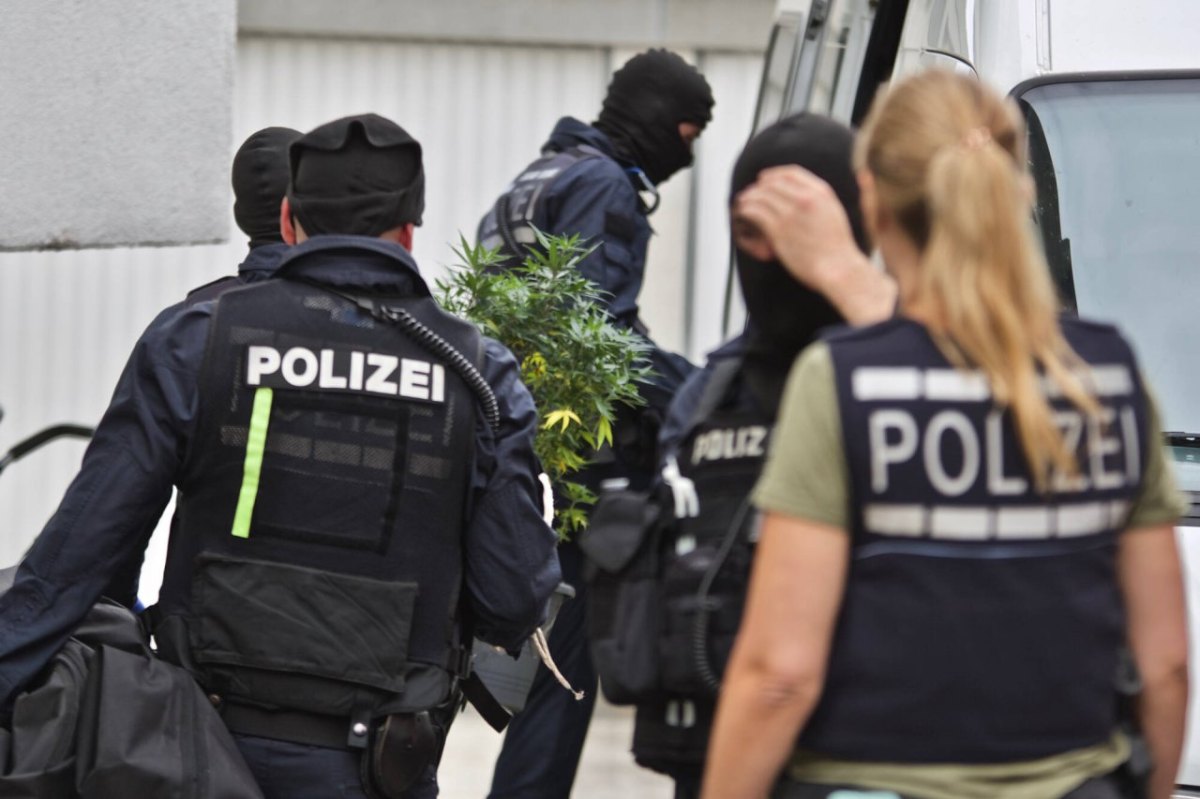 marihuana cannabis plantage hannover schaumburg polizei sek lka festnahmen
