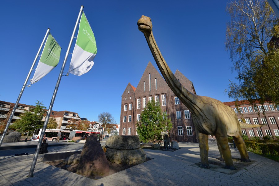 Museen dürfen auch wieder durchstarten. 