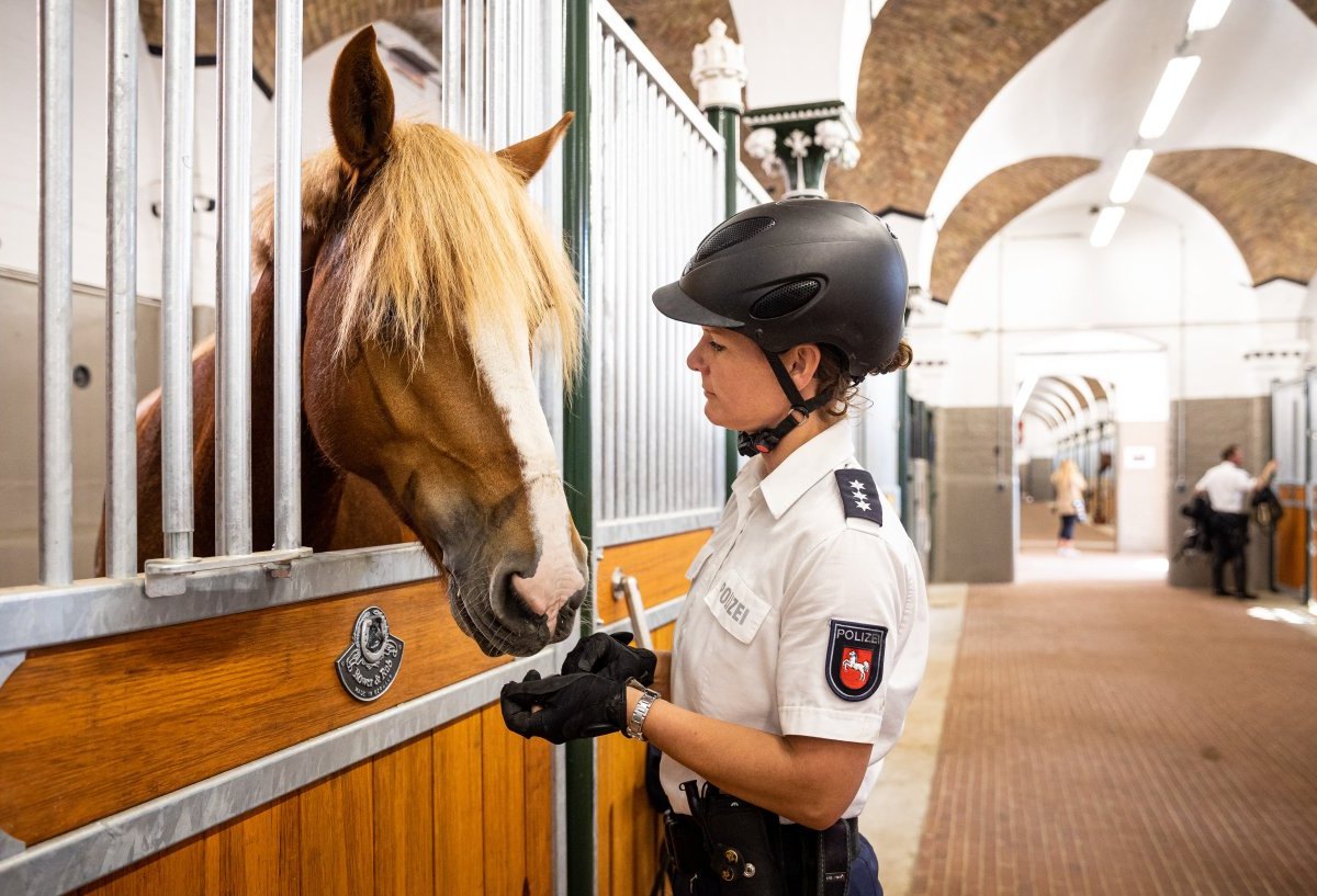 polizei.jpg