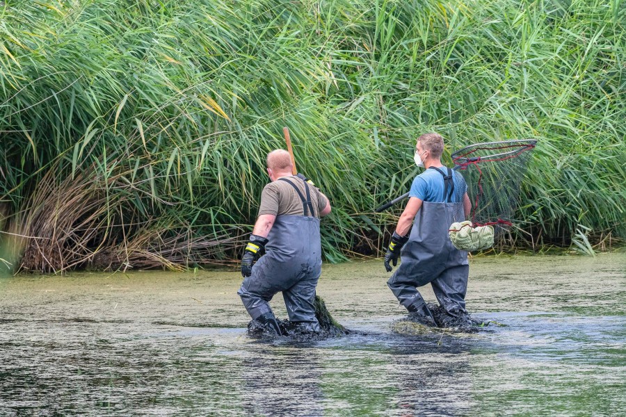 Der Einsatz dauerte rund anderthalb Stunden.