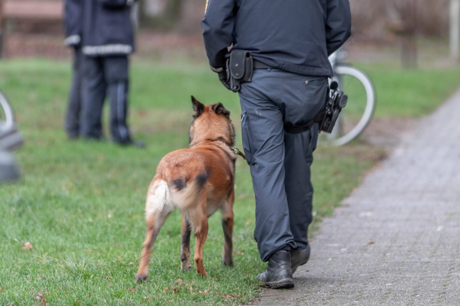 Die Polizei rückte mit einem Drogenspürhund zur Wohnungsdurchsuchung an. (Symbolbild)