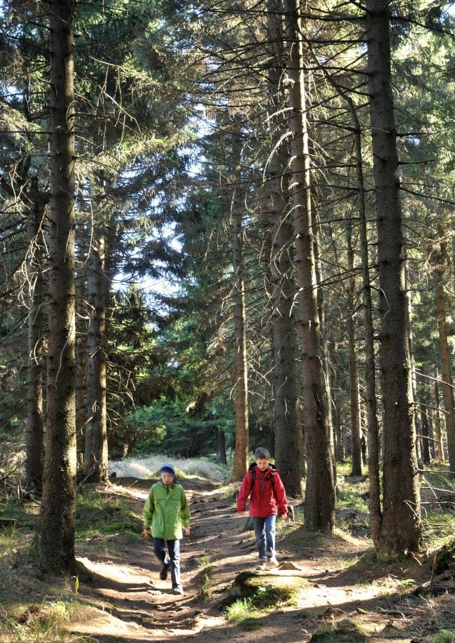 wanderer harz wurmberg