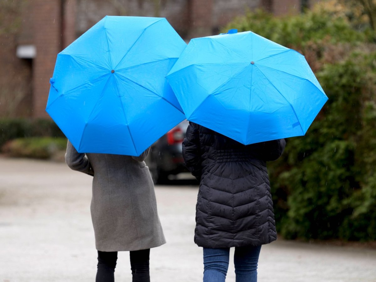 wetter in niedersachsen.jpg