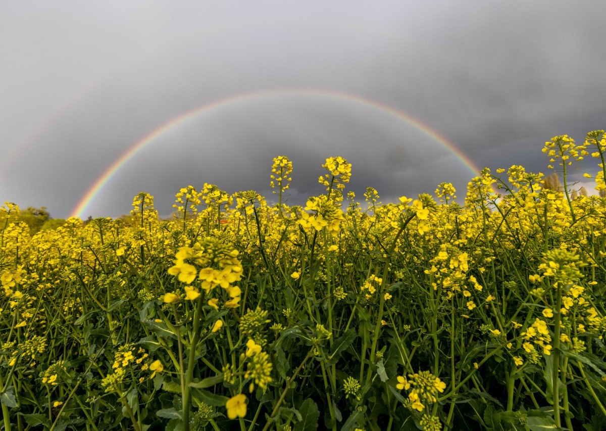 wetter niedersachsen.jpg