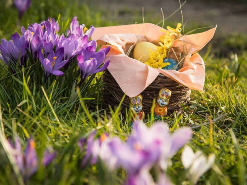 ostern niedersachsen.jpg
