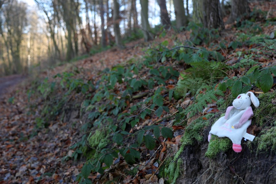 In Niedersachsen werden derzeit 182 Kinder und 388 Jugendliche vermisst. (Symbolbild)