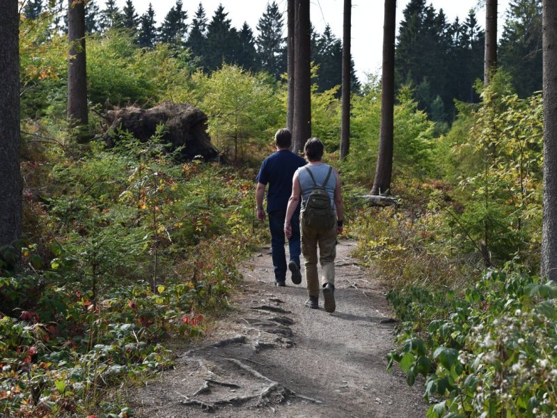 harz-wandern.jpg