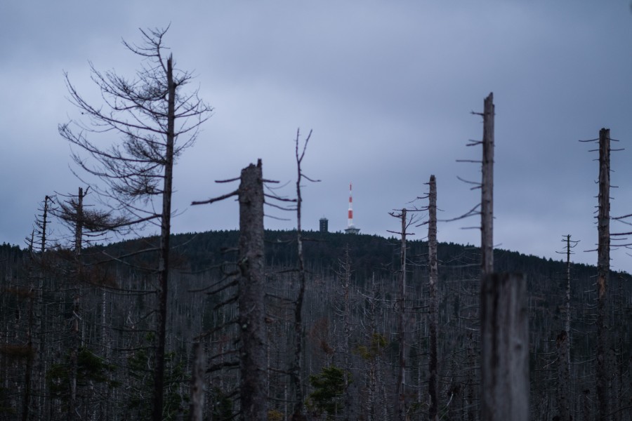 Das Wetter auf dem Brocken im Harz war zuletzt echt nicht schön. Mit Folgen? (Archivbild)

